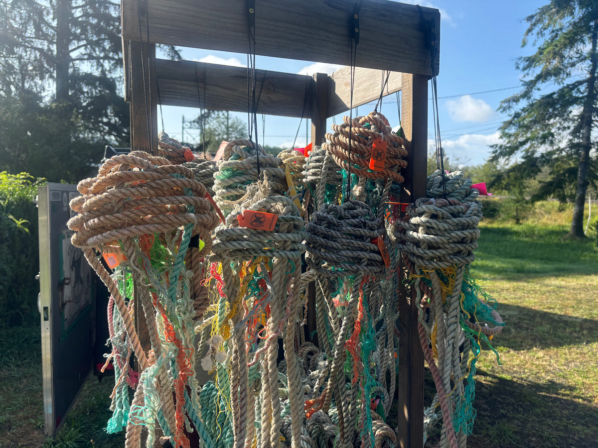 Upcycled Mariner "Jazzy Jellyfish" Hanging Decor